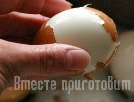 Закуска с яйцами