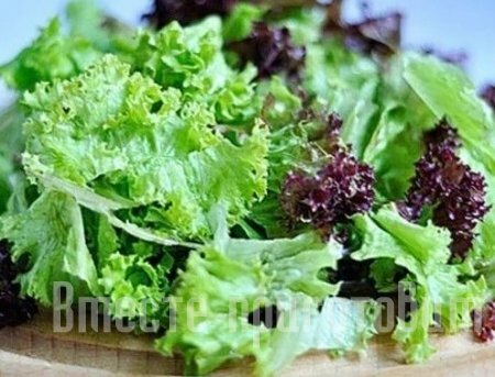 Салат с овощами и красным луком